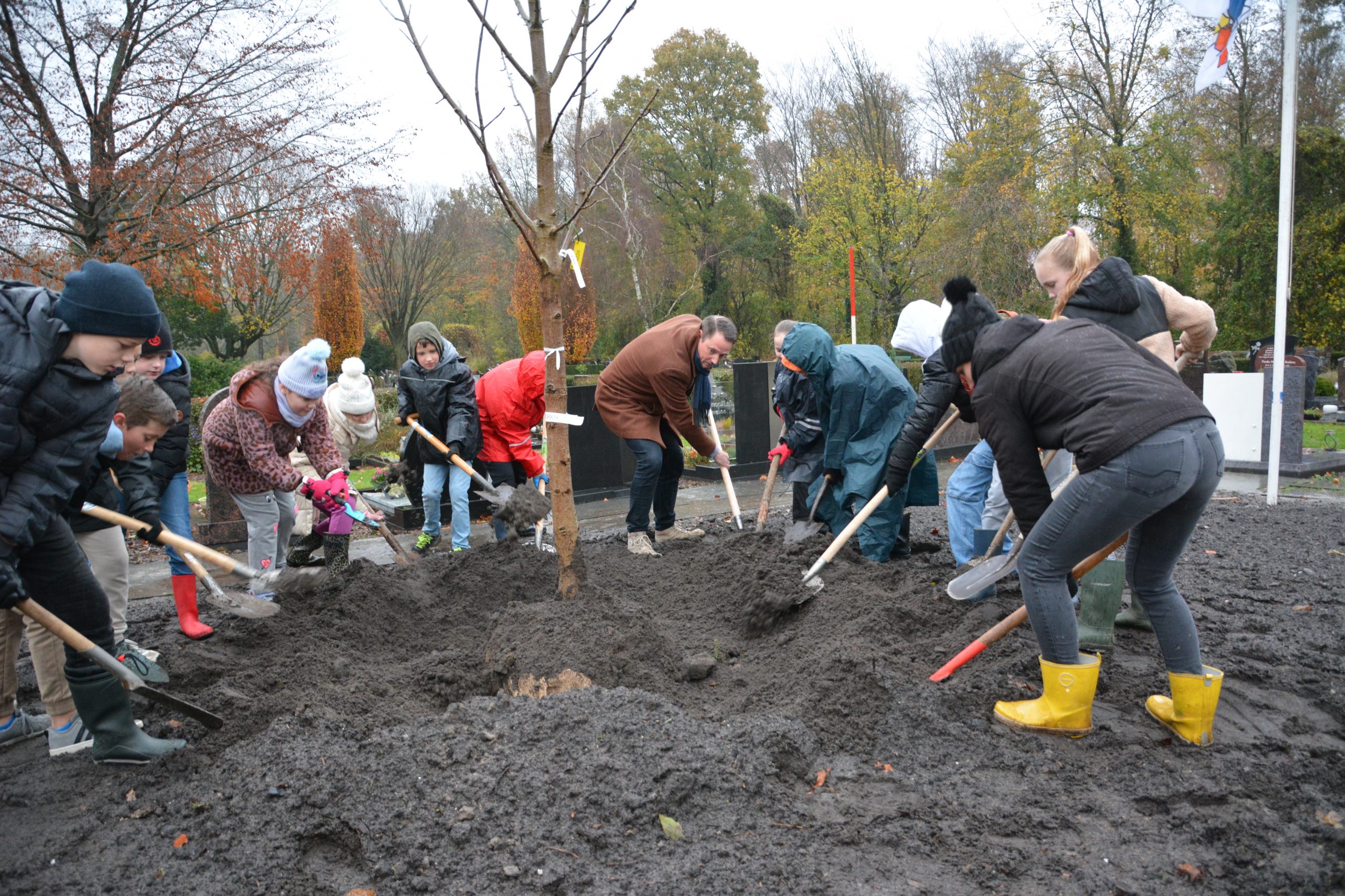 Kinderen planten nazaat Anne Frank-boom in Dronten